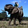 Fotos Von Garden Route In Südafrika!